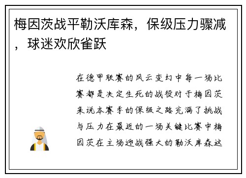 梅因茨战平勒沃库森，保级压力骤减，球迷欢欣雀跃