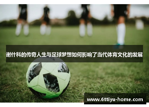谢什科的传奇人生与足球梦想如何影响了当代体育文化的发展